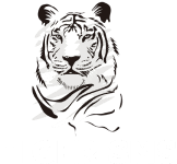 Tiger-sms